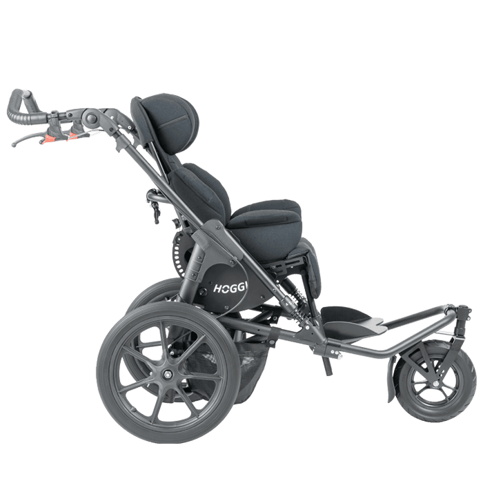 Bingo switch transform 3 wheeler