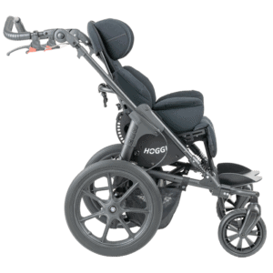 Bingo switch standard 4 wheeler push chair