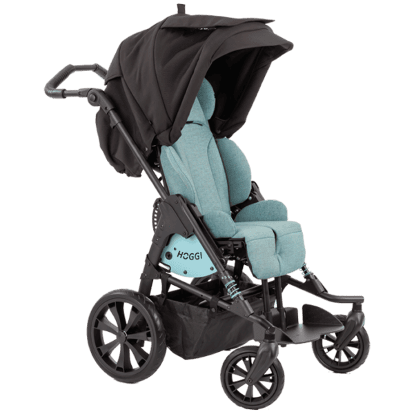 Bingo Evolution with canopy with parent window for children that need better surrounding
